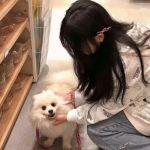 九游天拓三国名将手游下载